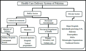 Levels-of-Working-in-the-Health-Care-Delivery-System-of-Pakistan-300x177 The Healthcare System in Pakistan – Challenges and Opportunities