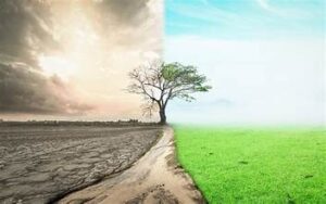 climate-change-effects-on-environment-300x188 Climate Change and Pakistan: Risks and Solutions