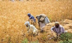 food-insecurity-300x180 Climate Change and Pakistan: Risks and Solutions