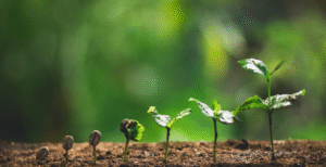 growth-300x154 How to Maintain Faith in Times of Hardship