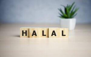 halal-300x190 Halal Earning: Why Rizq-e-Halal is a Blessing