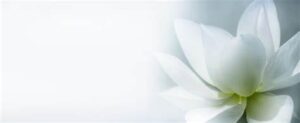 spiritual-purity-300x123 Halal Earning: Why Rizq-e-Halal is a Blessing